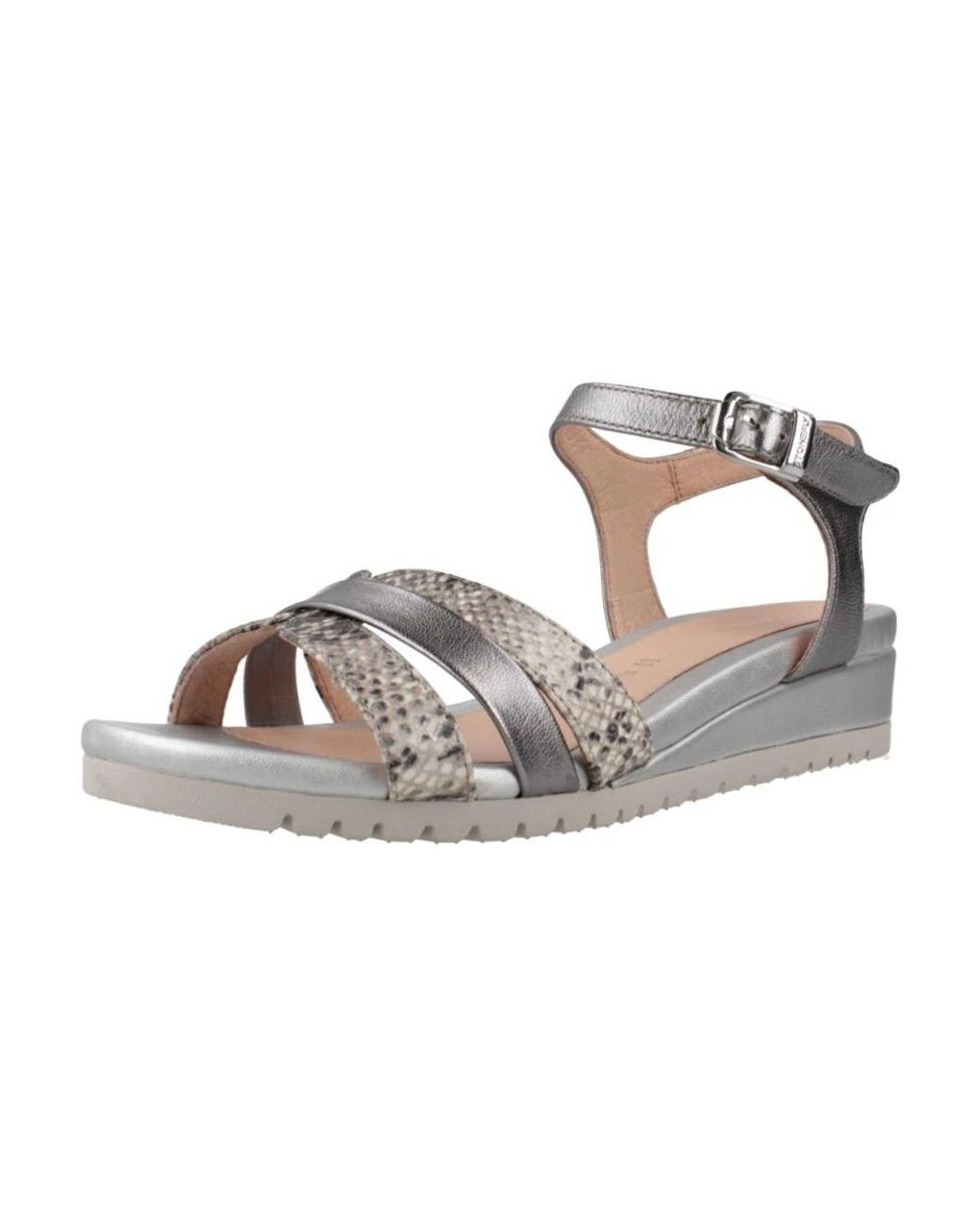 Wedges di Stonefly in Gray