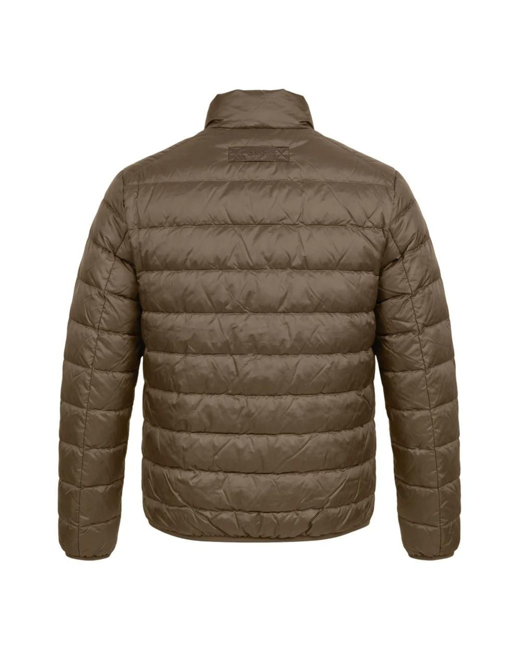 Down Jackets Gant pour homme en coloris Green