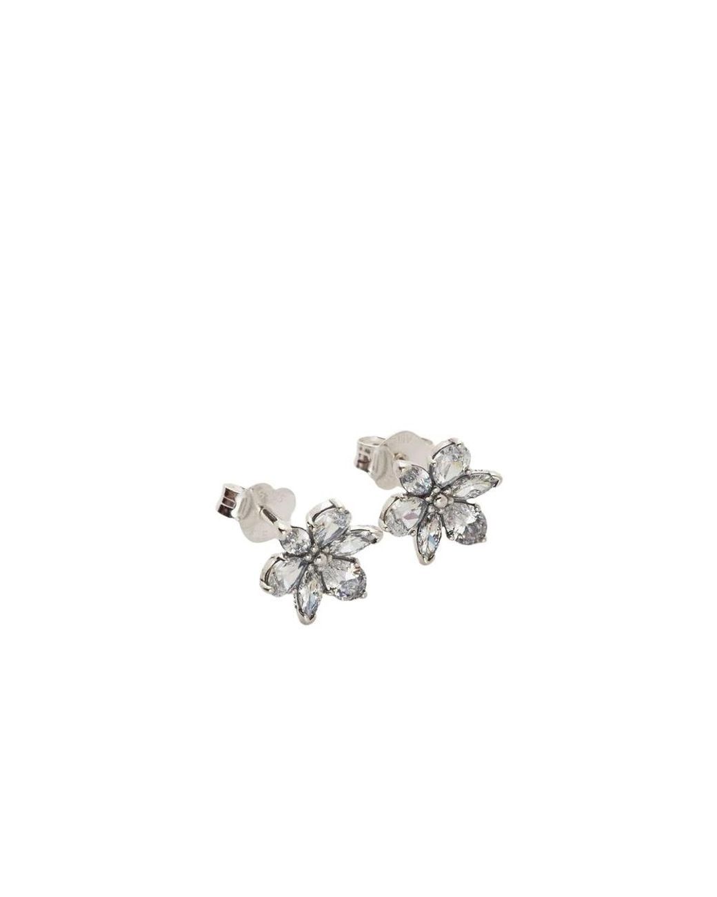 Pandora Metallic Earrings