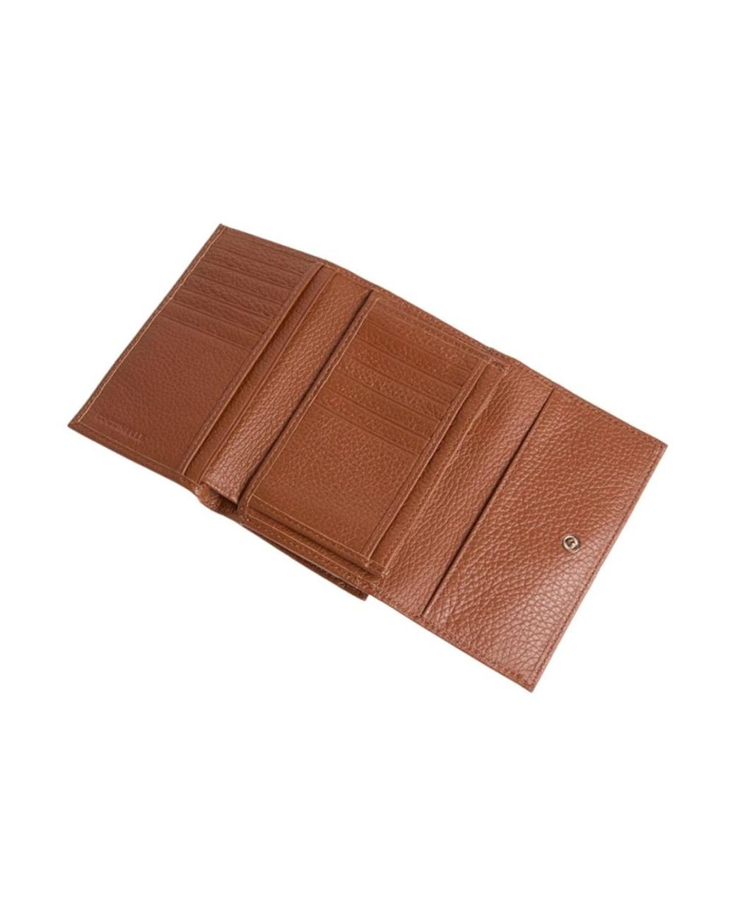 Coccinelle Brown Metallic Soft
