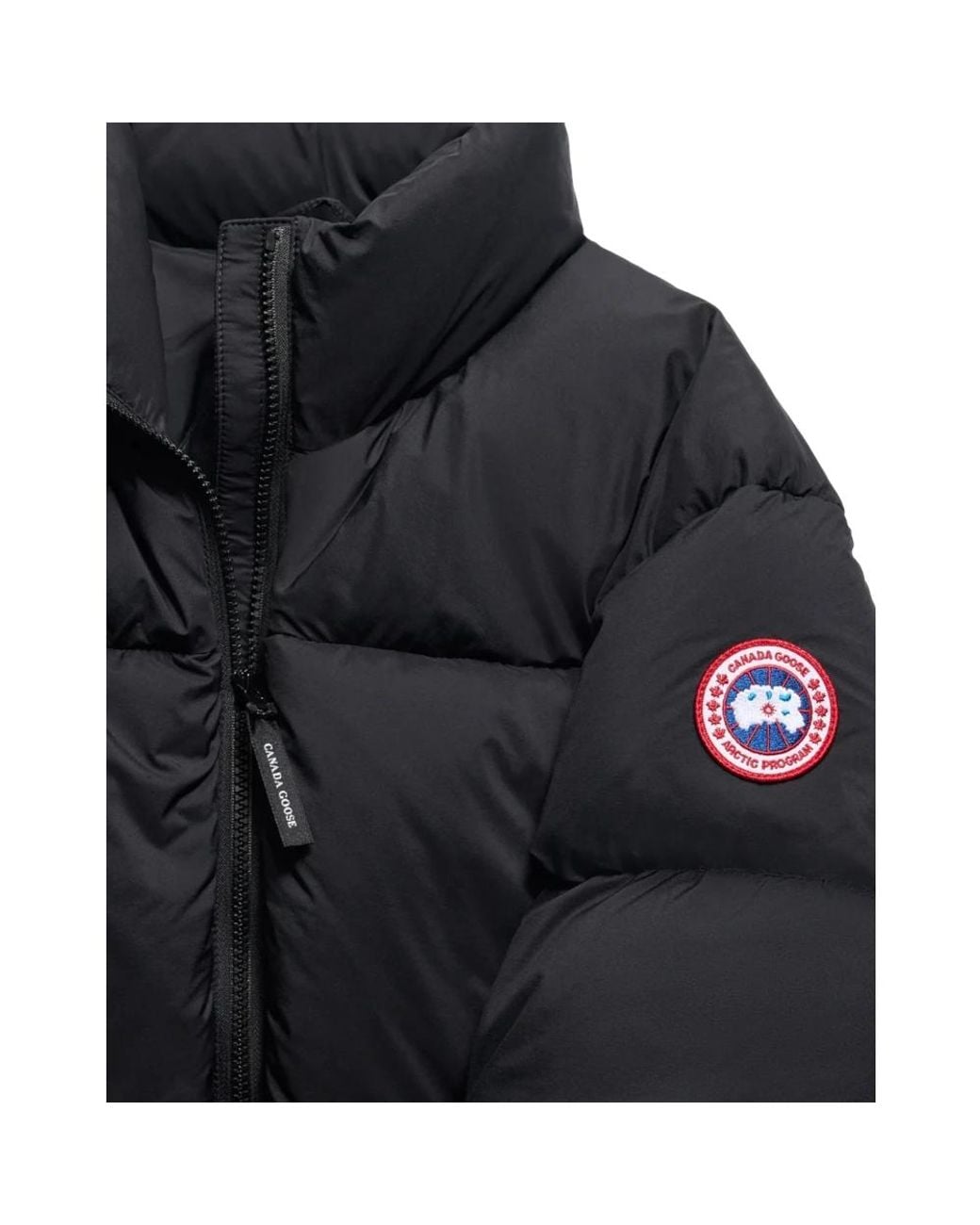 Canada Goose Gray Down Jackets