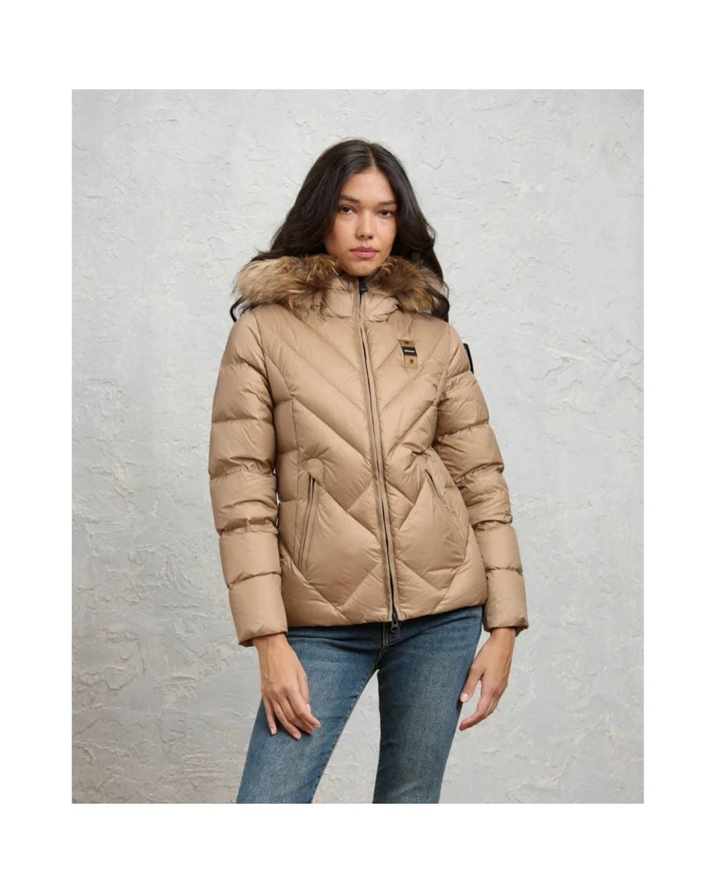 Winter Jackets Blauer en coloris Brown