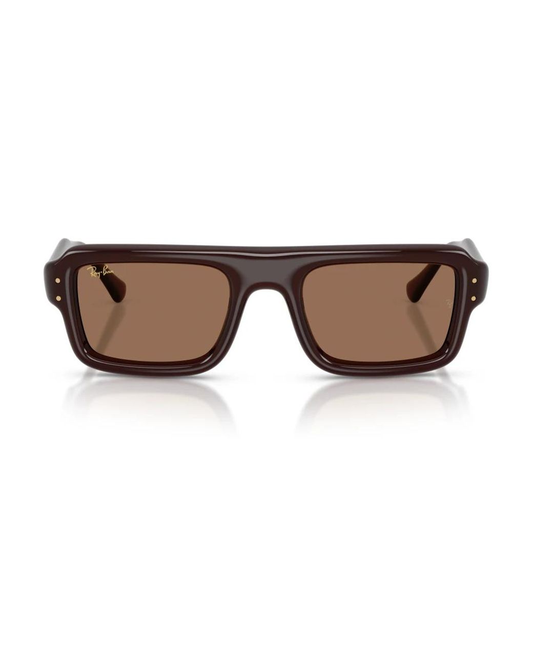 Ray-Ban Brown Sunglasses