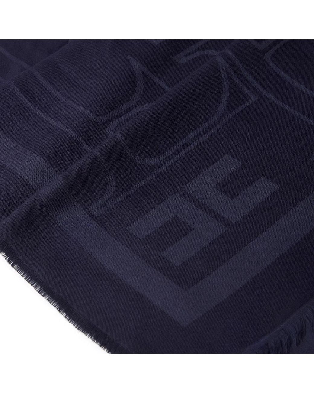 Elisabetta Franchi Blue Scarves