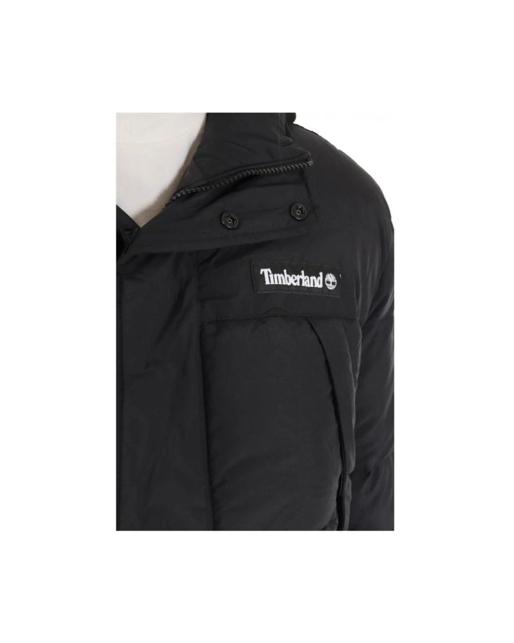 Timberland Black Winter Jackets for men