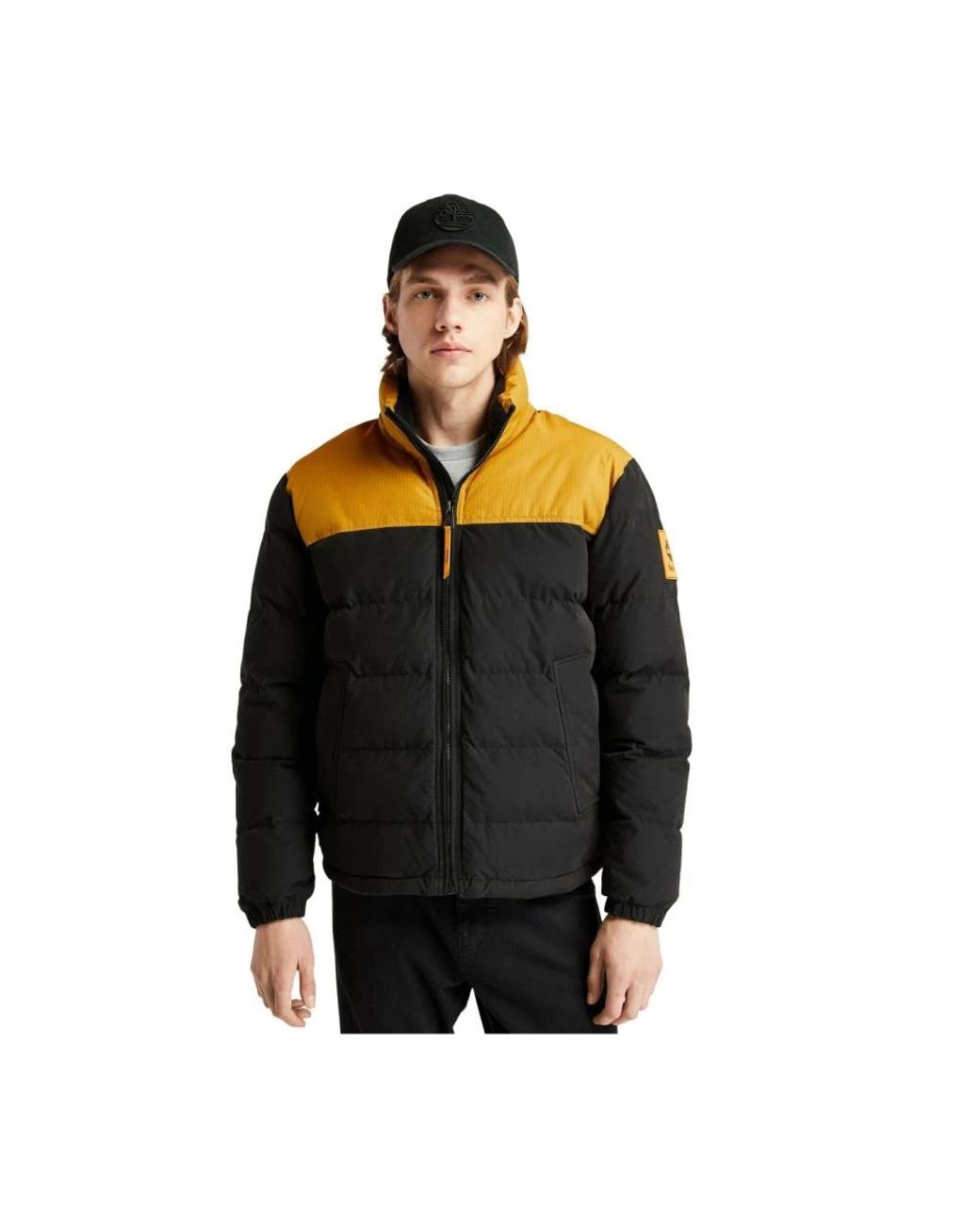 Timberland Down Jacket in het Black voor heren