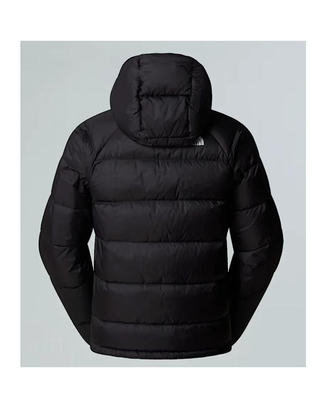 The North Face Black Winter Jackets for men