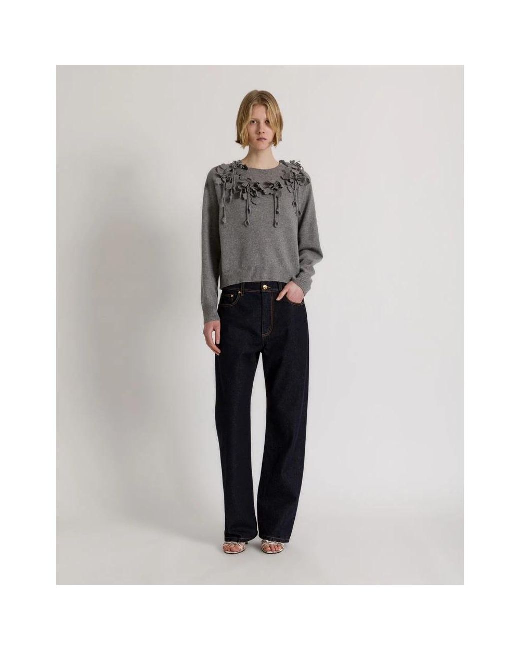 Alberta Ferretti Gray Round-Neck Knitwear
