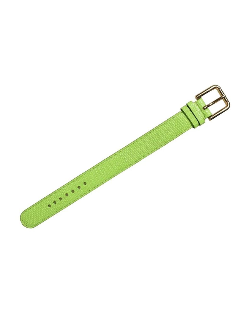Dolce & Gabbana Green Belts