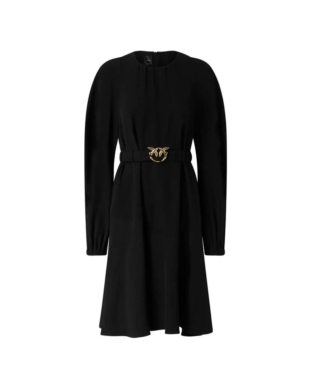 Pinko Kleedjes ,Zwart ,Leer Agrodolce Jurk in het Black