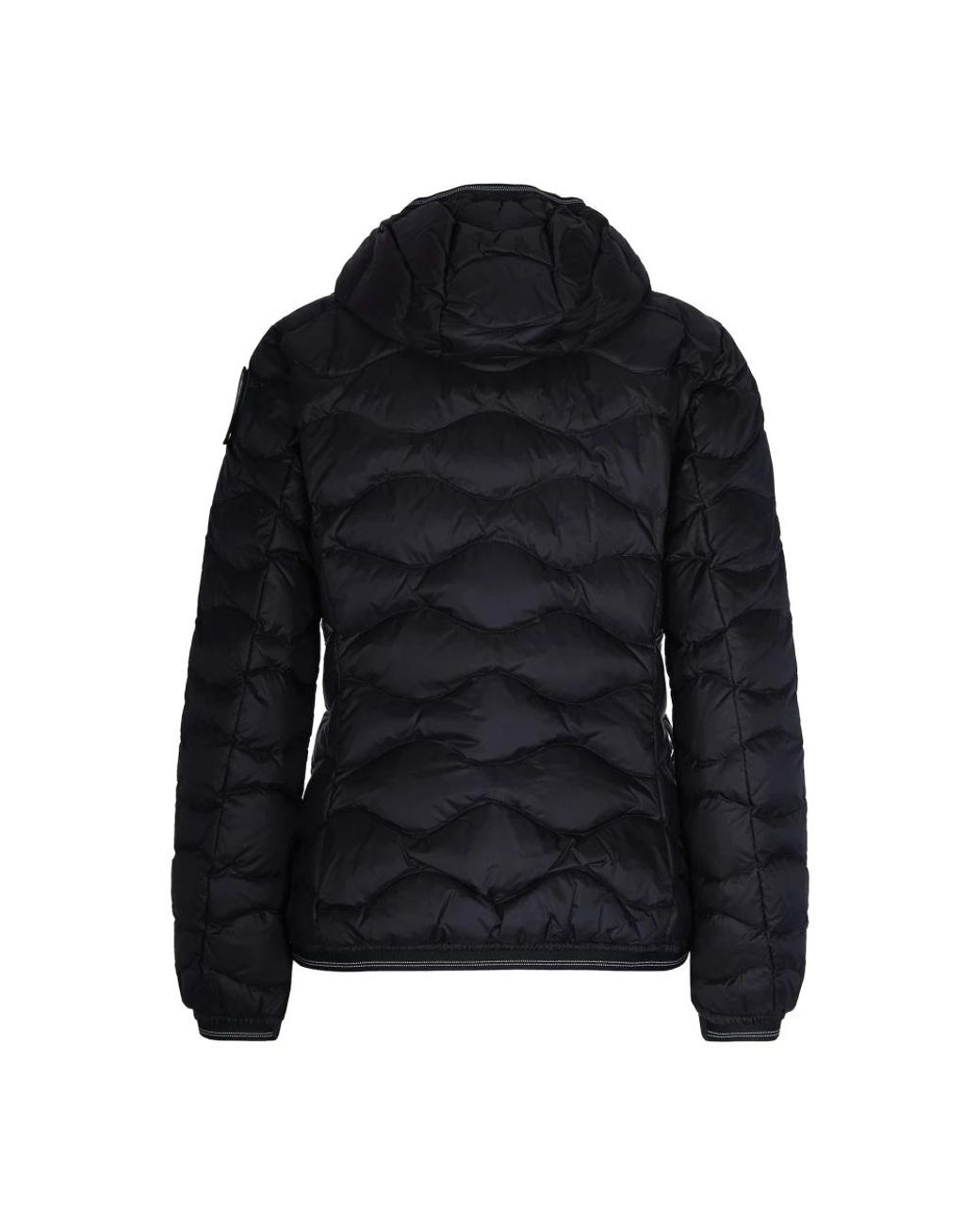 Blauer Black Winter Jackets
