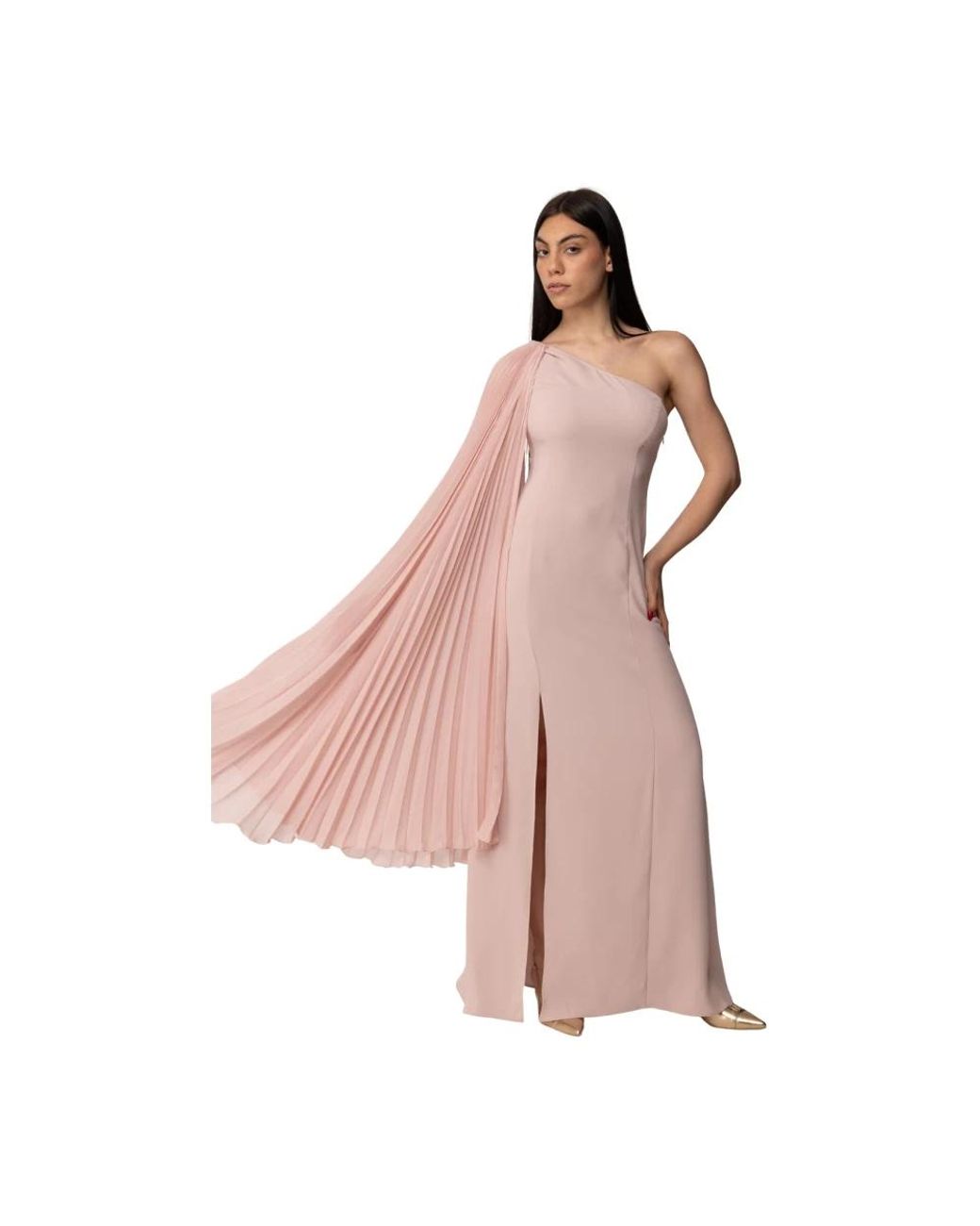 Hanita Pink Gowns