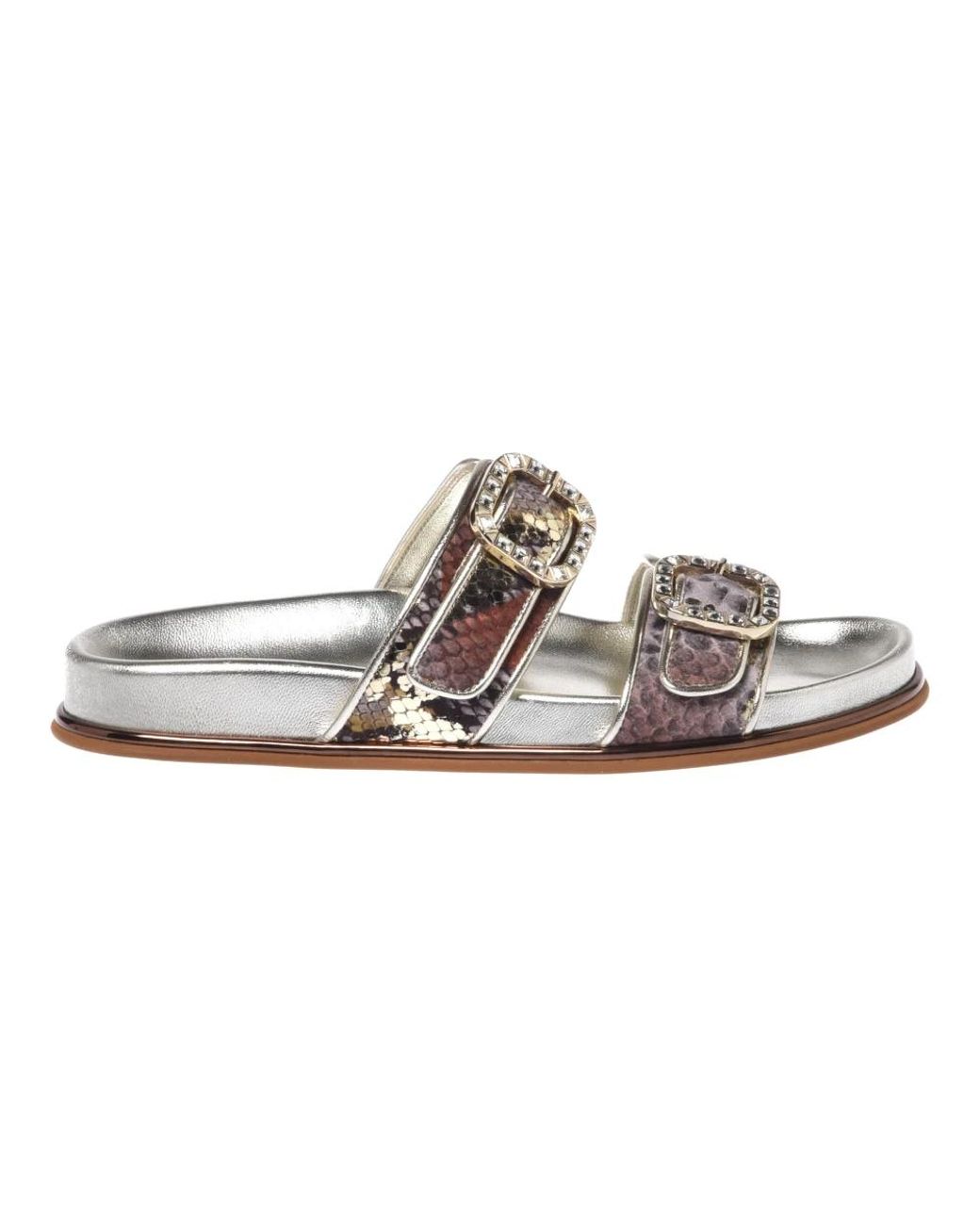 Baldinini Brown Python Print Mule