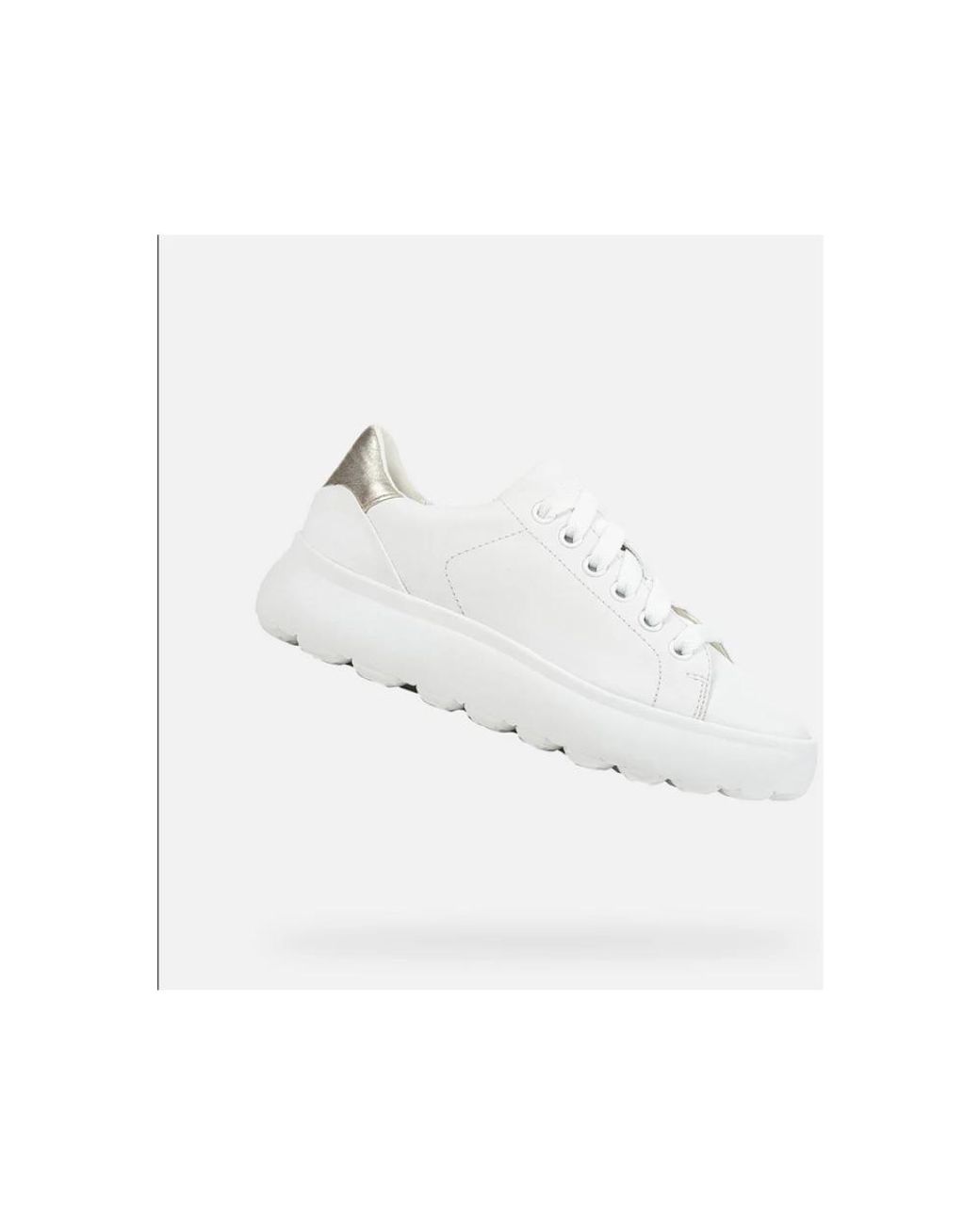 Sneakers Geox en coloris White
