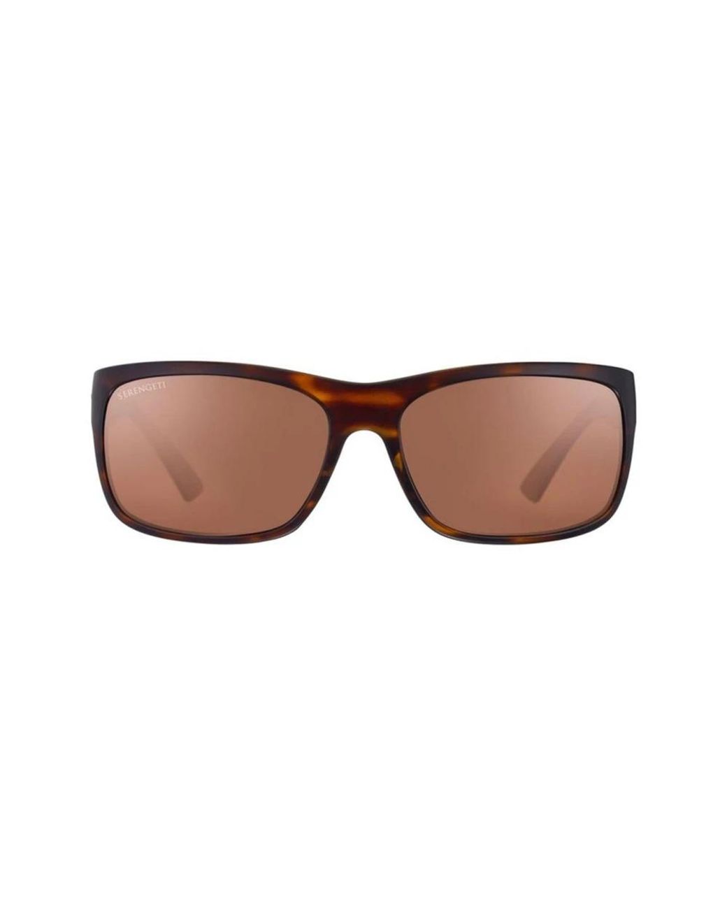 Serengeti Brown Sunglasses