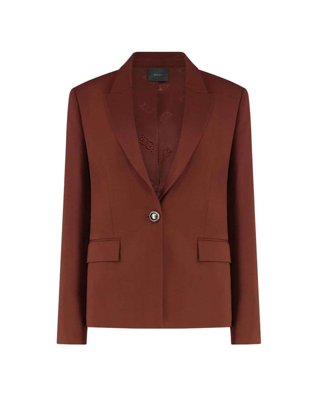 Pinko Blazers in het Brown