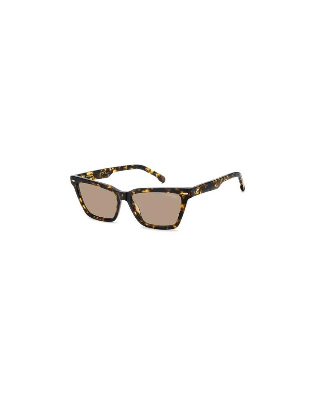 Carrera Brown Sonnenbrillen
