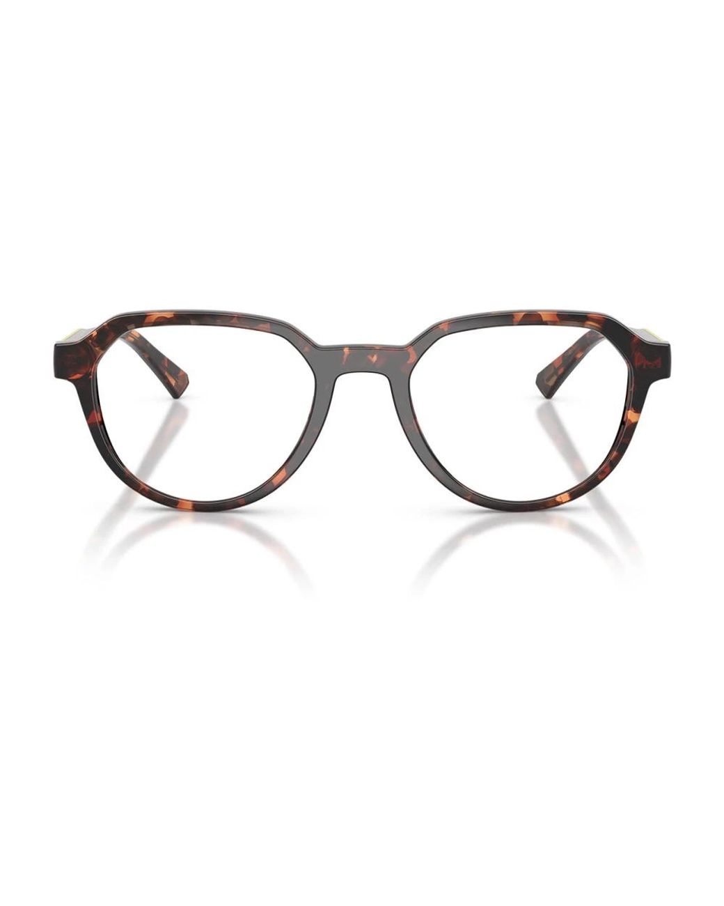 Michael Kors Brown Glasses