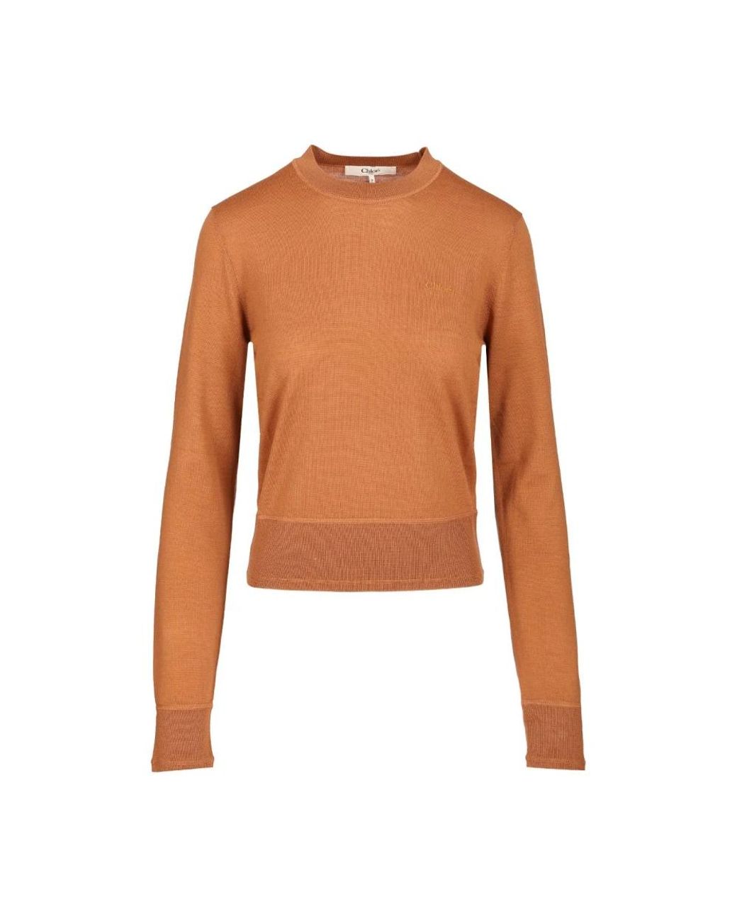 Chloé Brown Round-Neck Knitwear