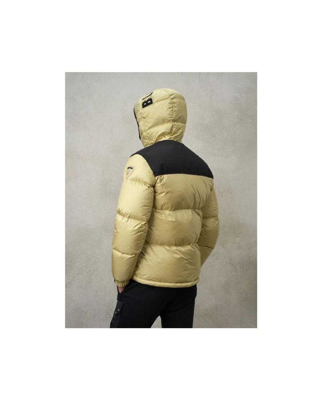 Blauer Metallic Down Jackets for men