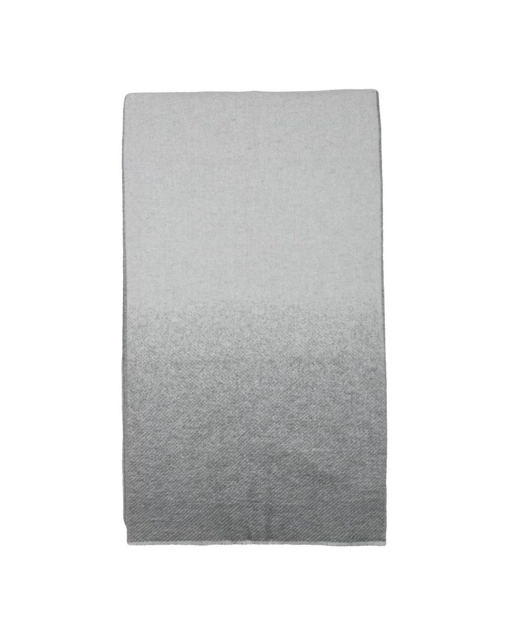Peserico Gray Winter Scarves
