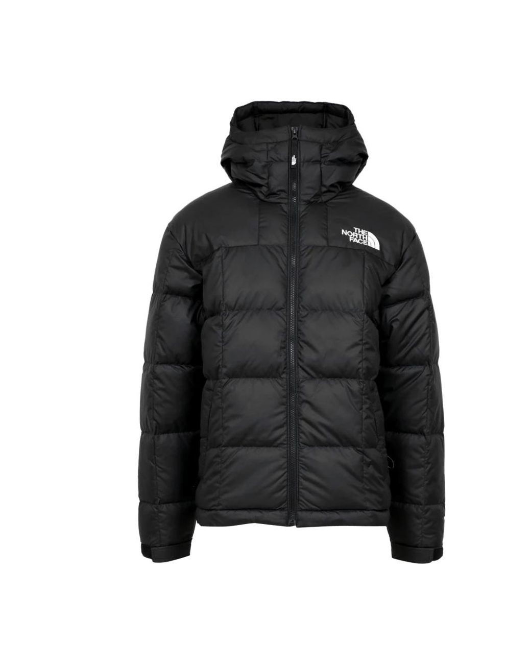 Down Jackets di The North Face in Black da Uomo