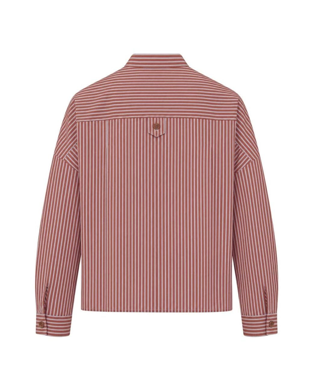 Shirts Sessun de color Purple