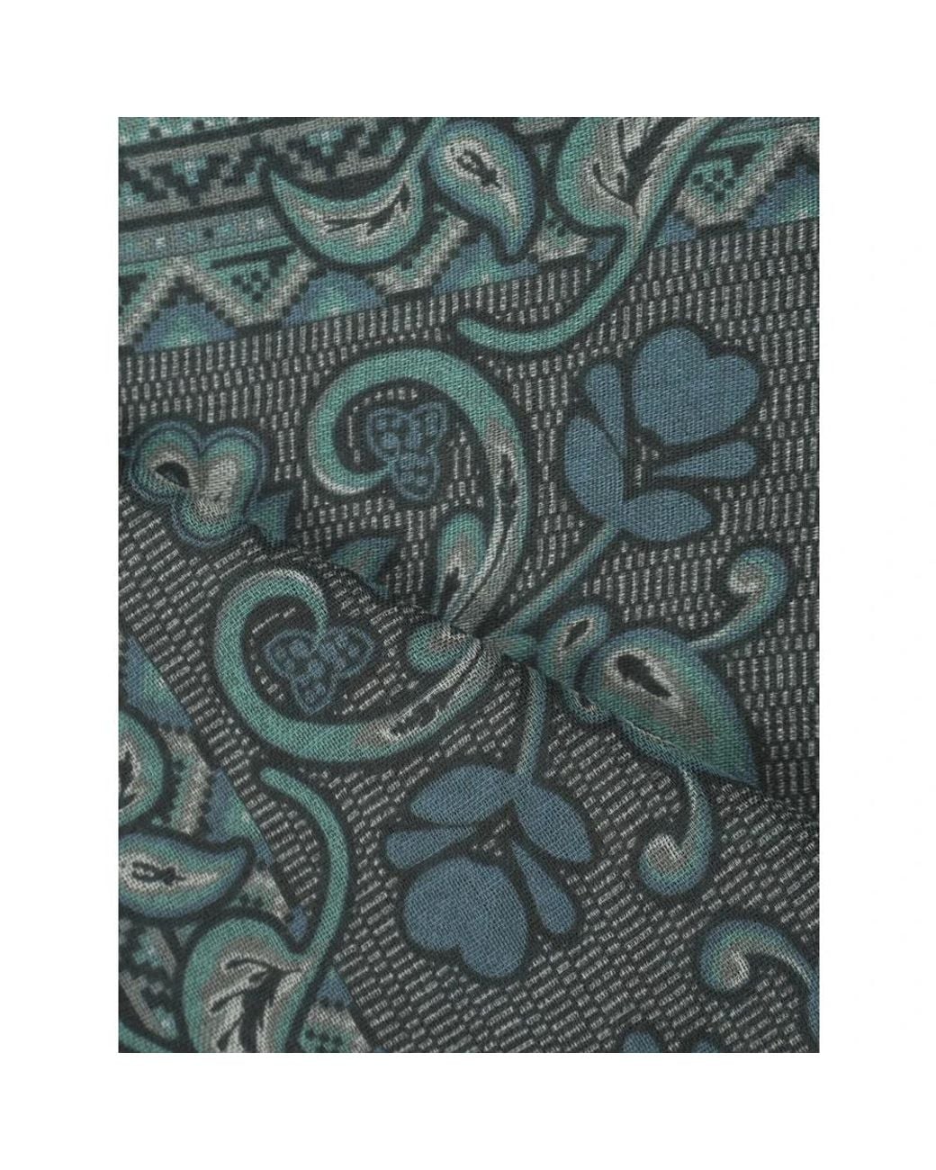 Etro Gray Scarves
