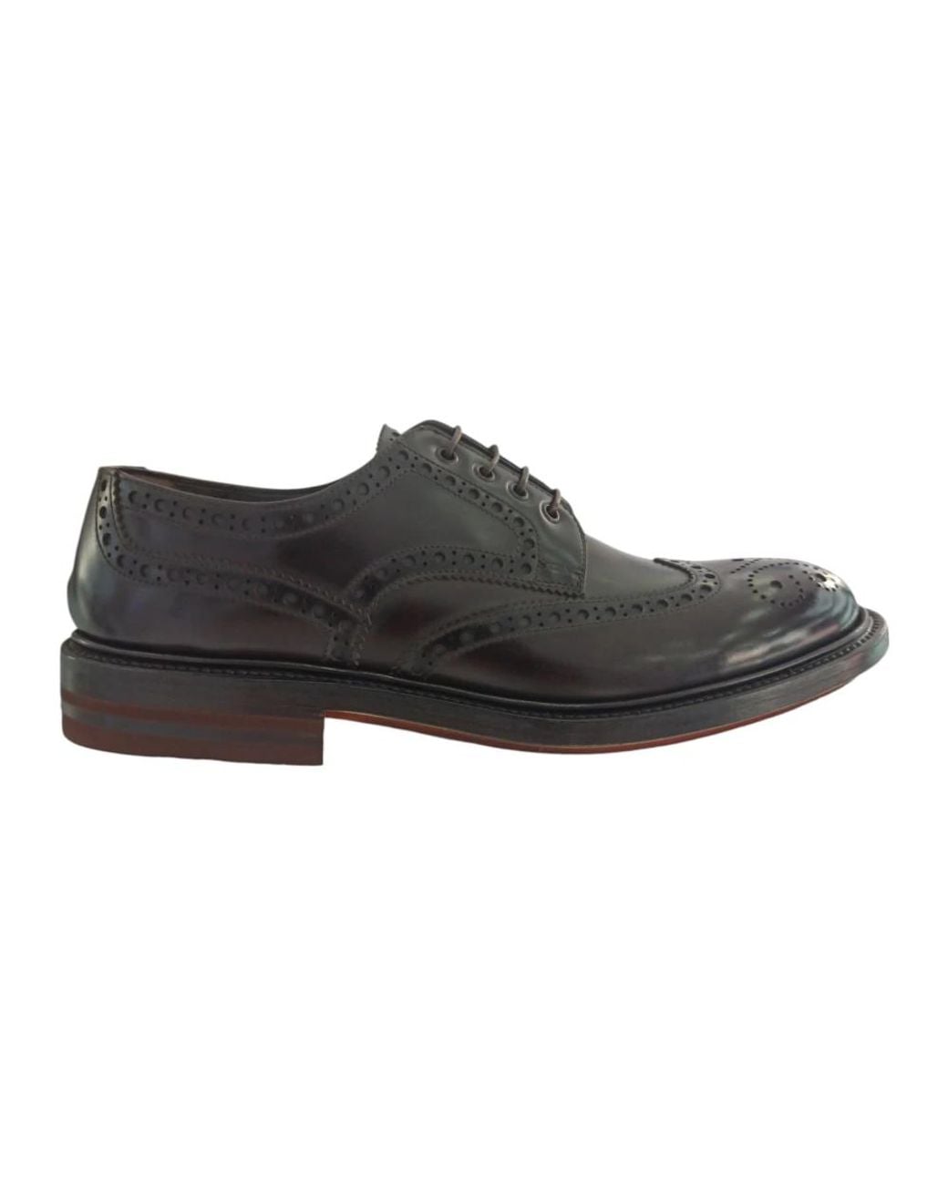 Fabi Black Laced Shoes for men