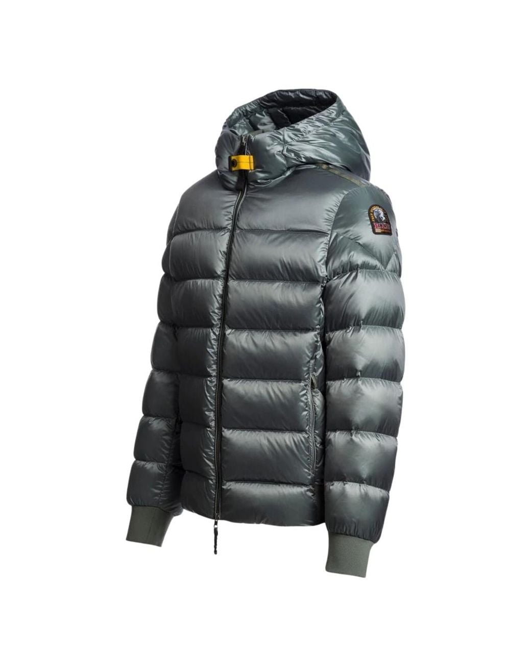 Parajumpers Gray Down Jackets for men