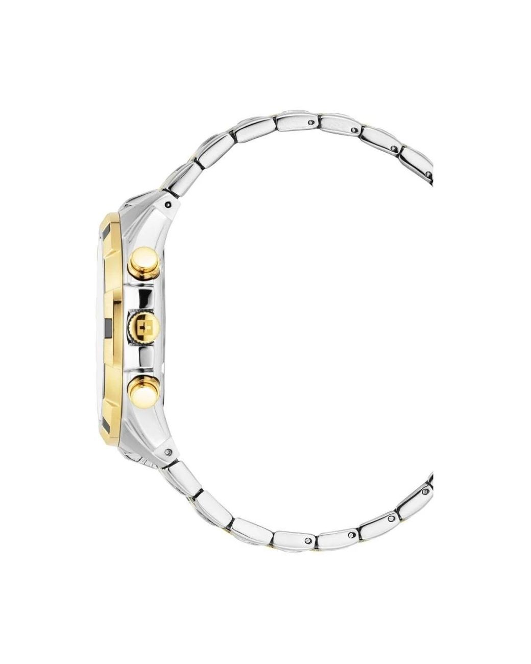Swiss Alpine Military Metallic Watches for men