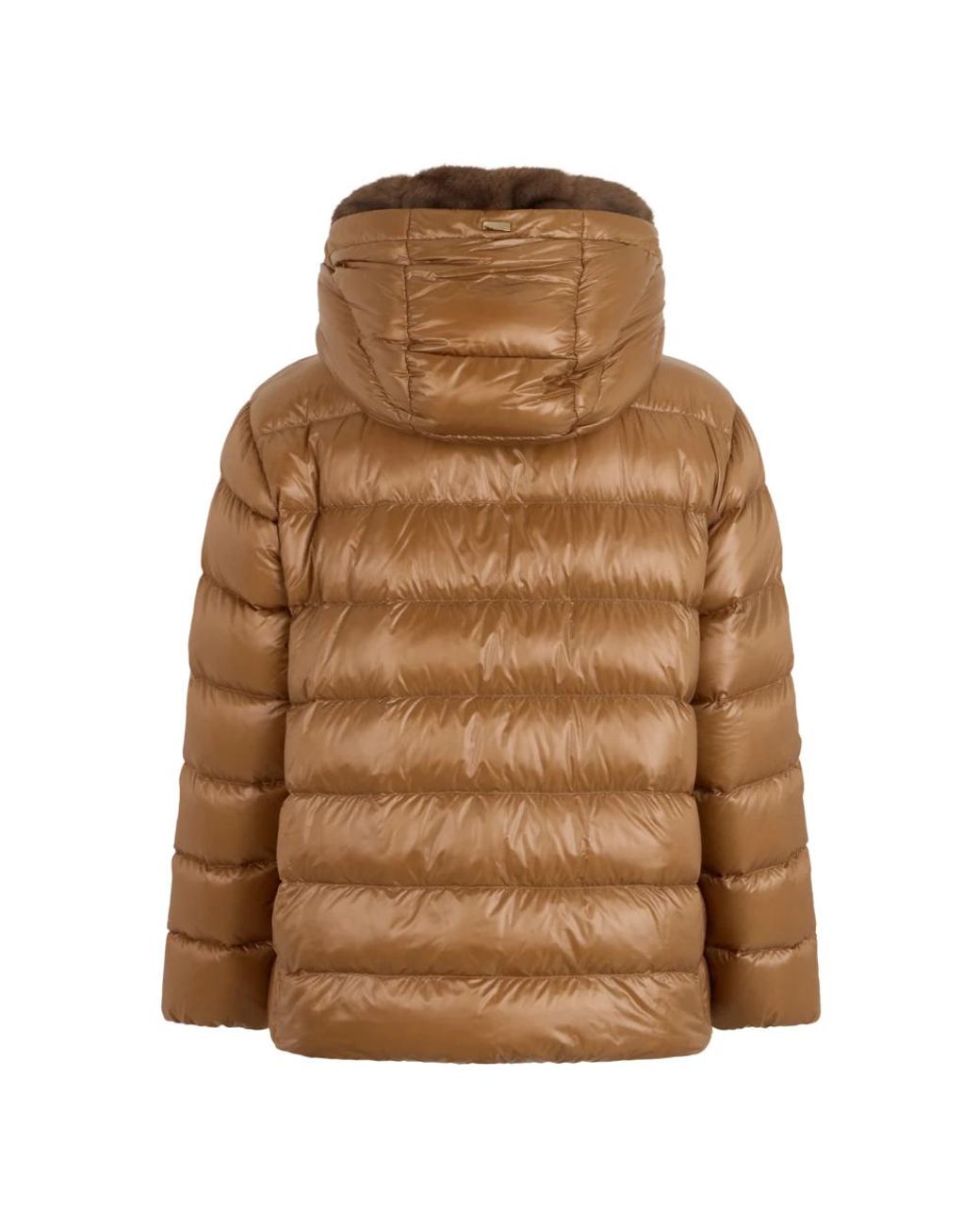Winter Jackets Herno de color Brown