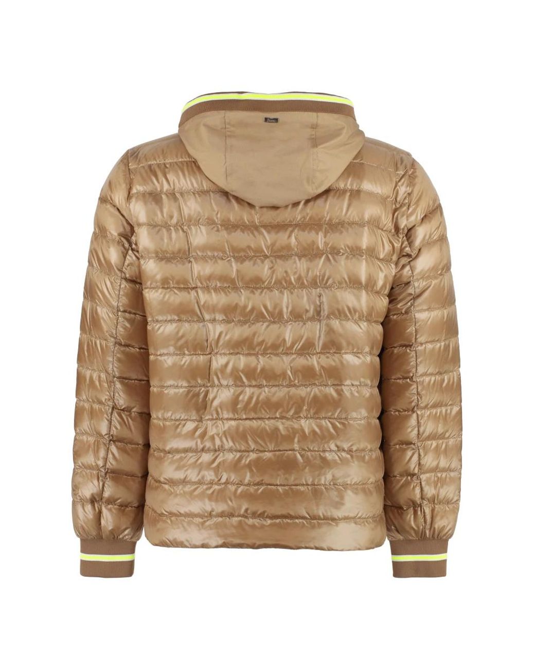 Herno Brown Down Jackets for men