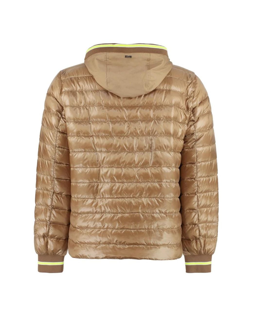 Down Jackets Herno de hombre de color Brown