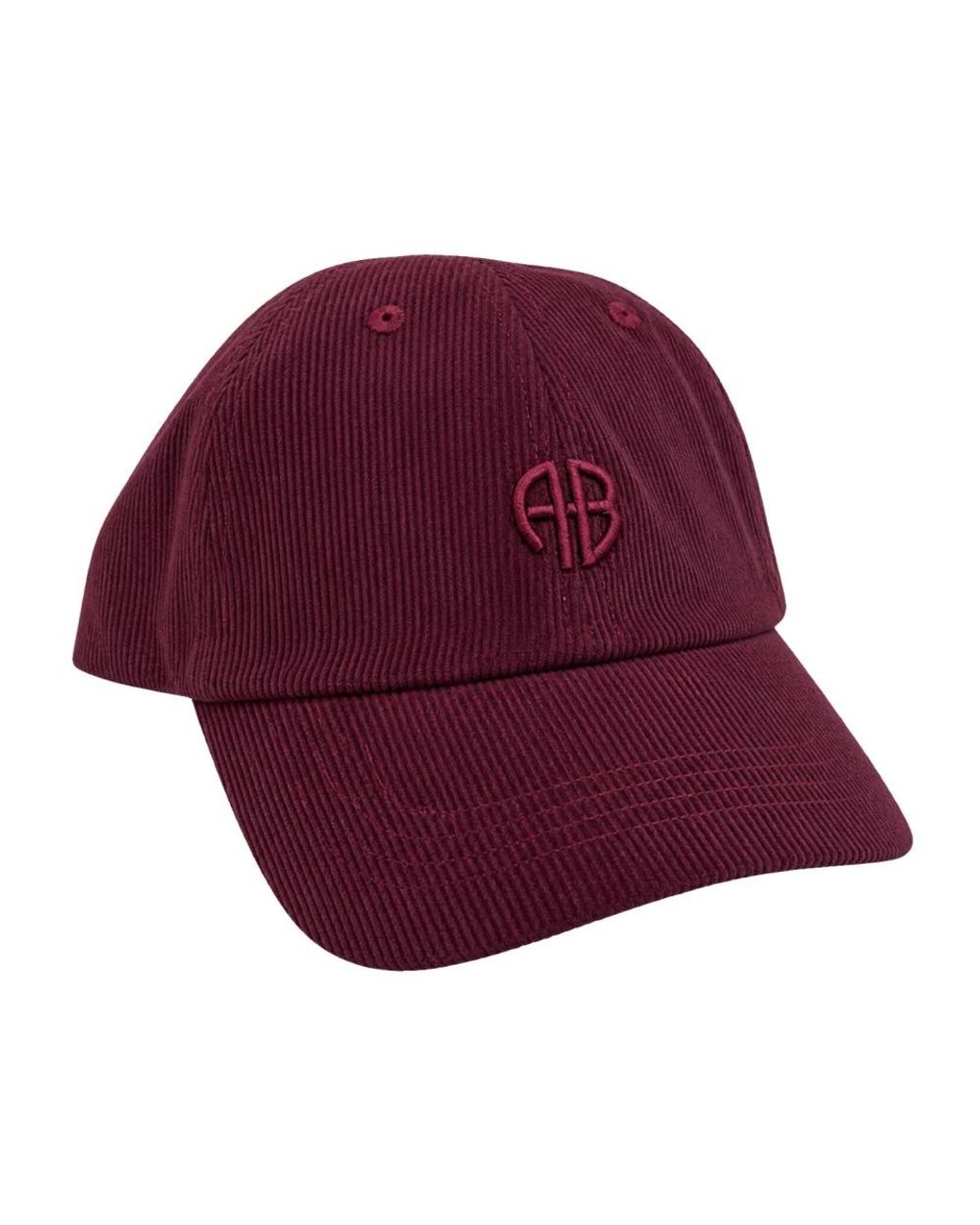 Caps di Anine Bing in Purple