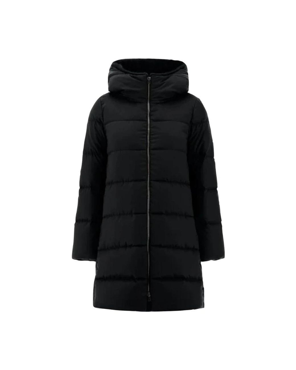 Herno Black Down Jackets