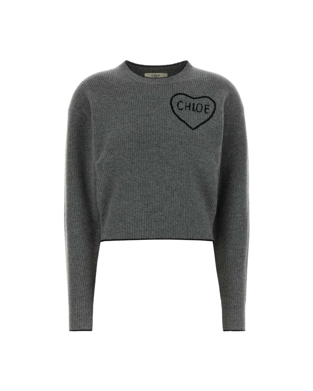 Chloé Gray Round-Neck Knitwear