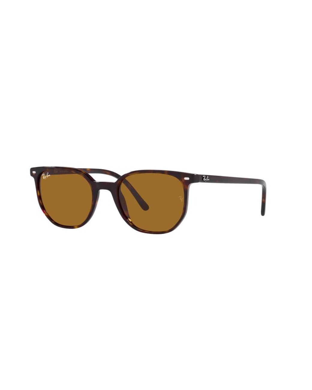 Ray-Ban Brown Sunglasses