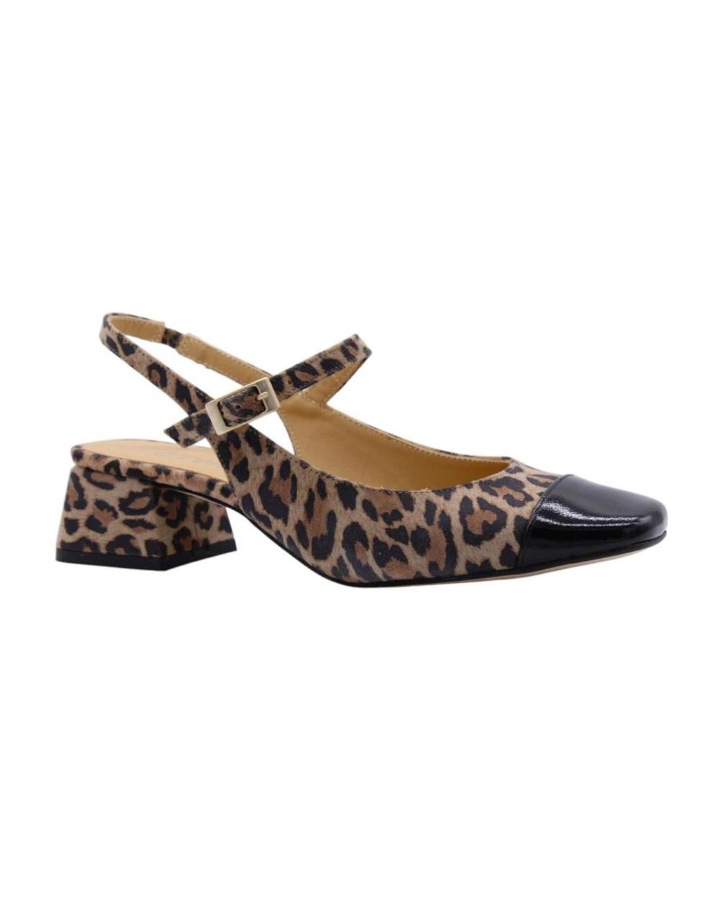 CTWLK Brown Pumps