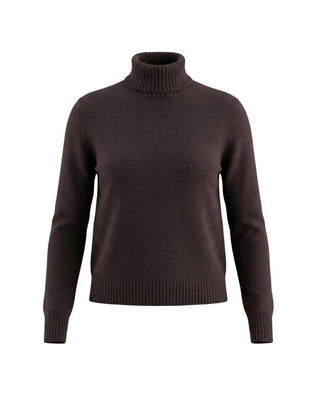 Turtlenecks Gran Sasso de color Brown