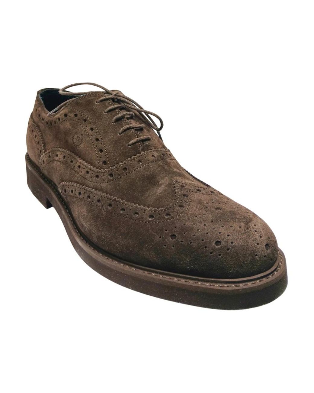Pollini Brown Laced Shoes for men