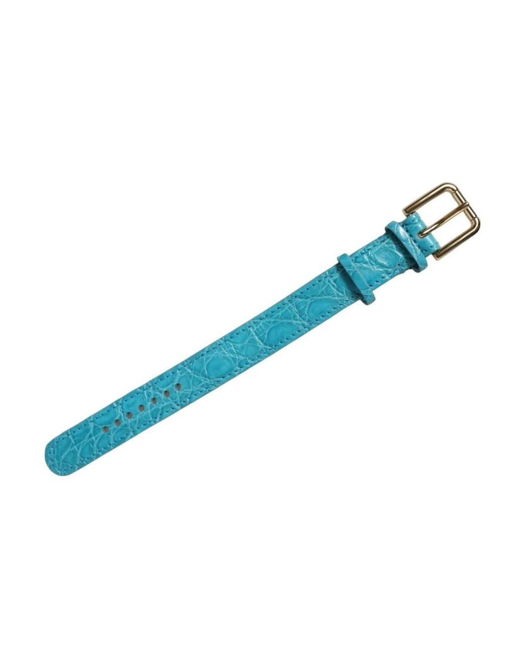 Dolce & Gabbana Blue Belts
