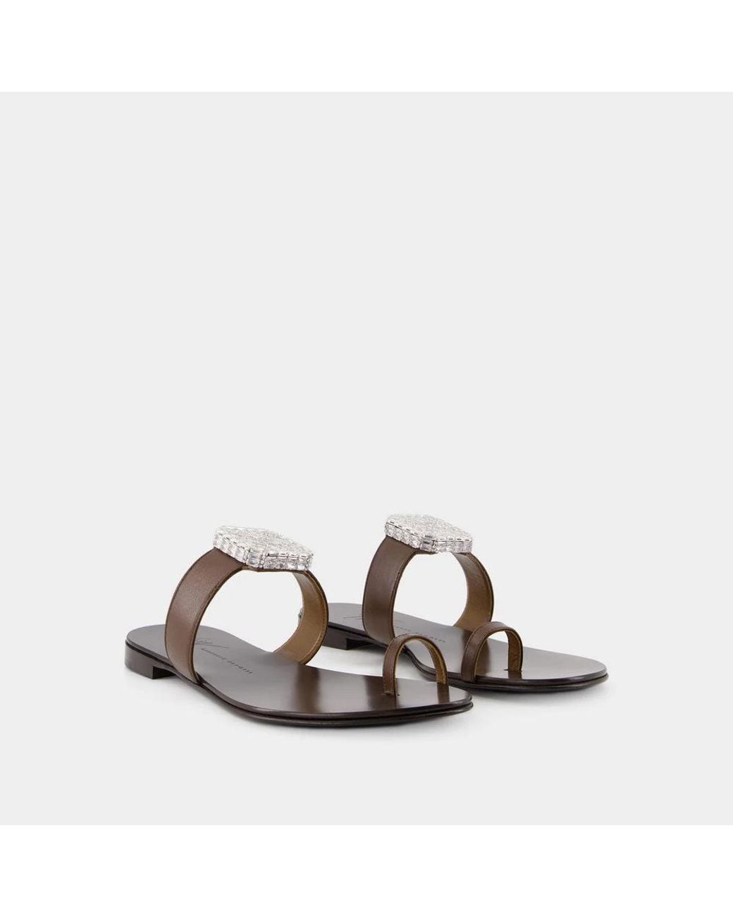 Giuseppe Zanotti Brown Flip Flops