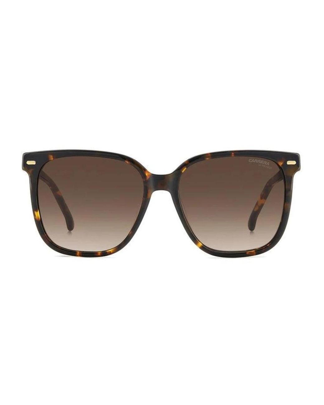 Carrera Brown 3002/S Square Sonnenbrille