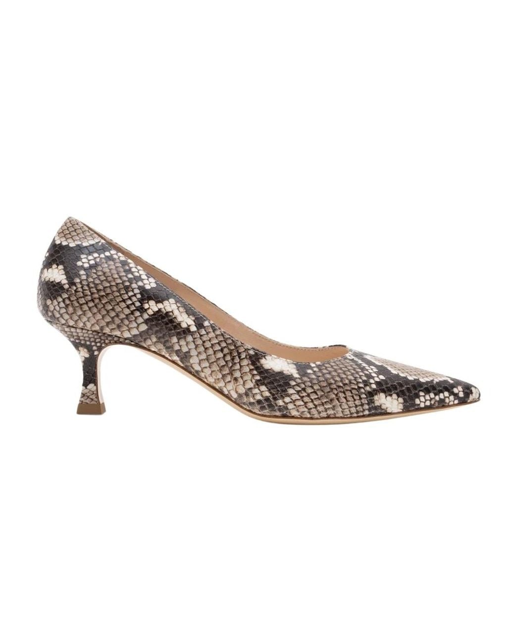 Parallèle Multicolor Rosa Pump