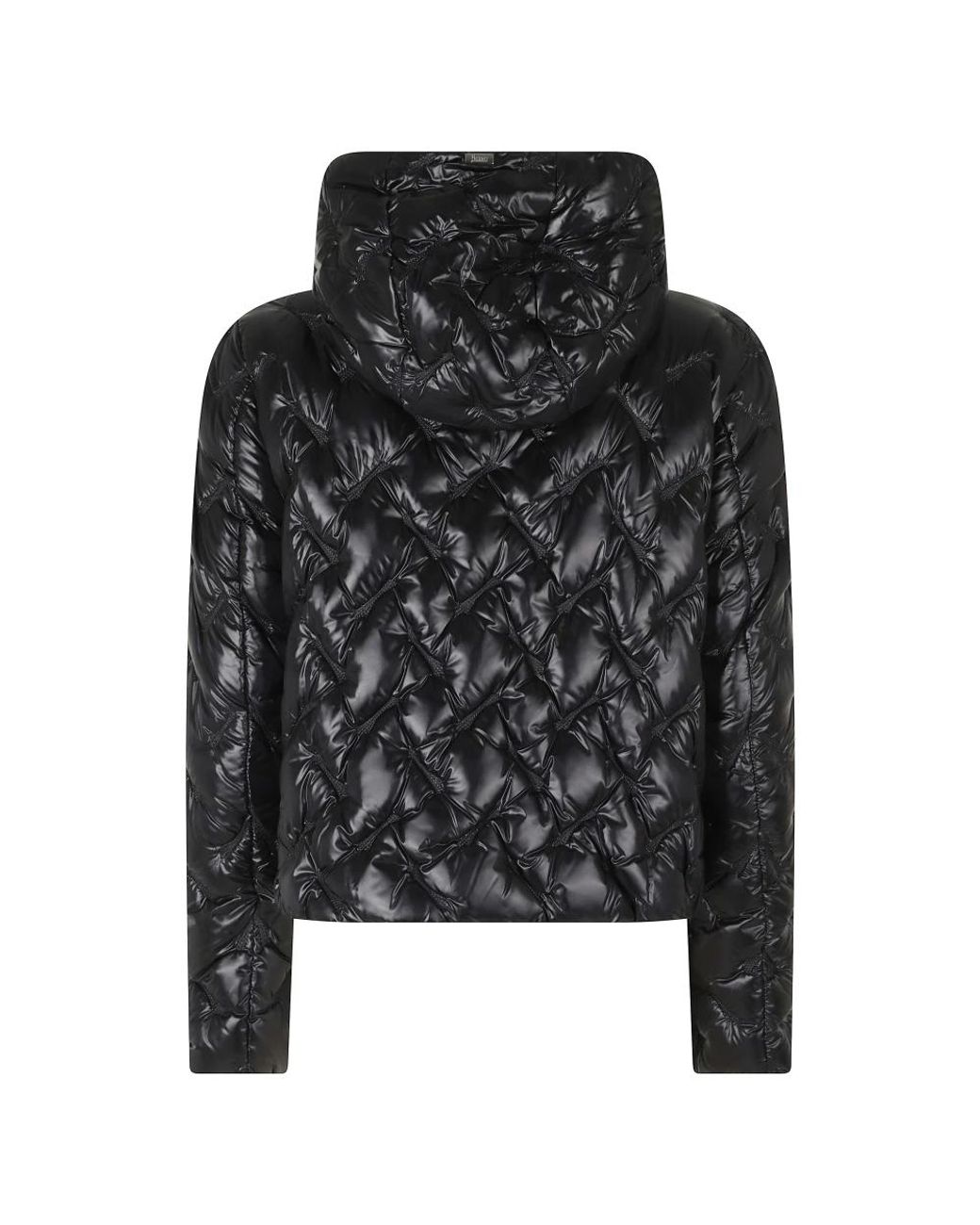 Herno Black Down Jackets