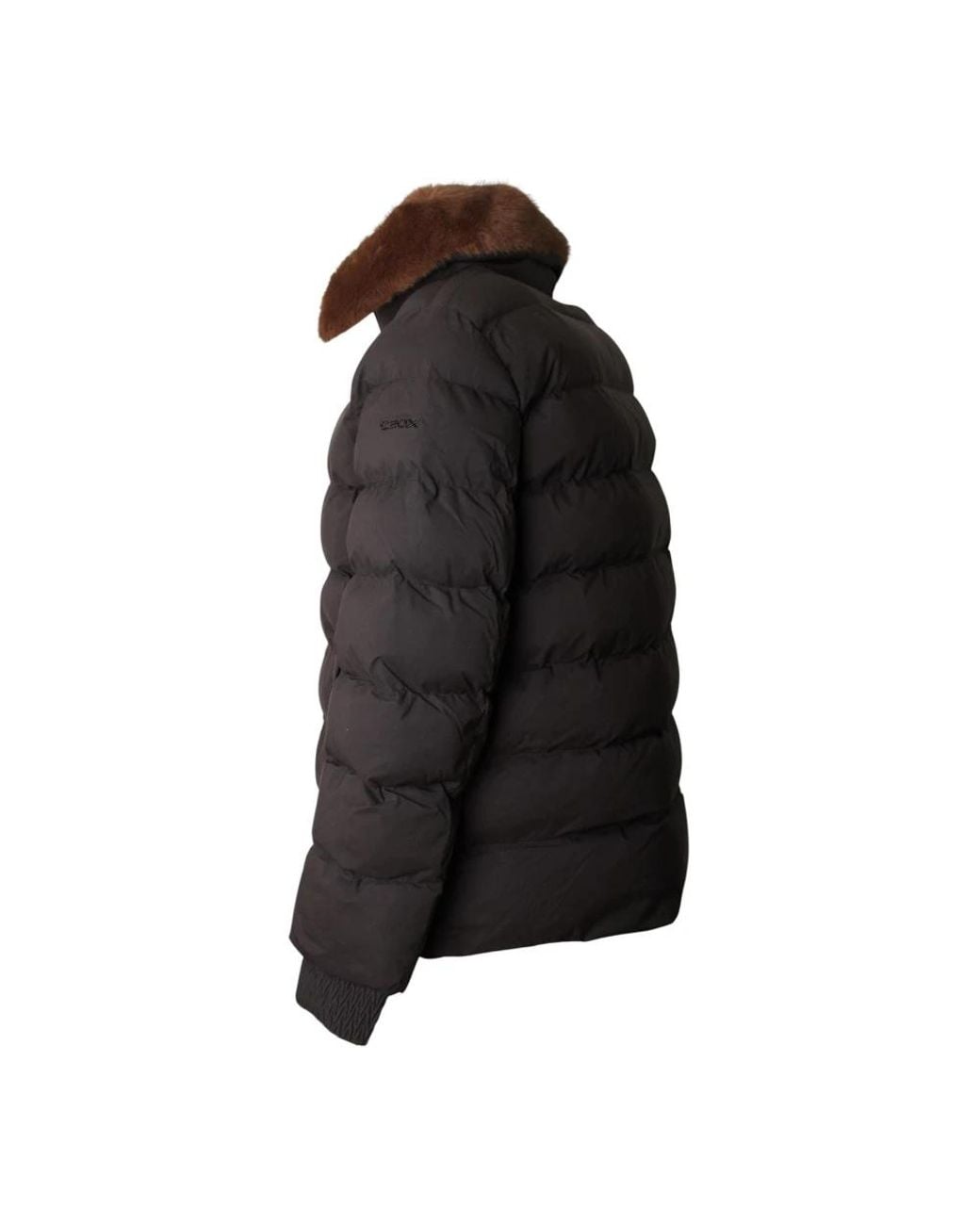 Winter Jackets Geox de color Black