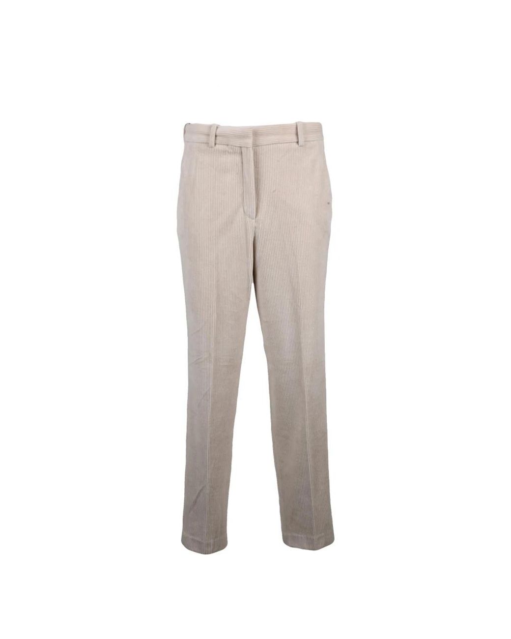 Circolo 1901 Chino Broeken in het Gray