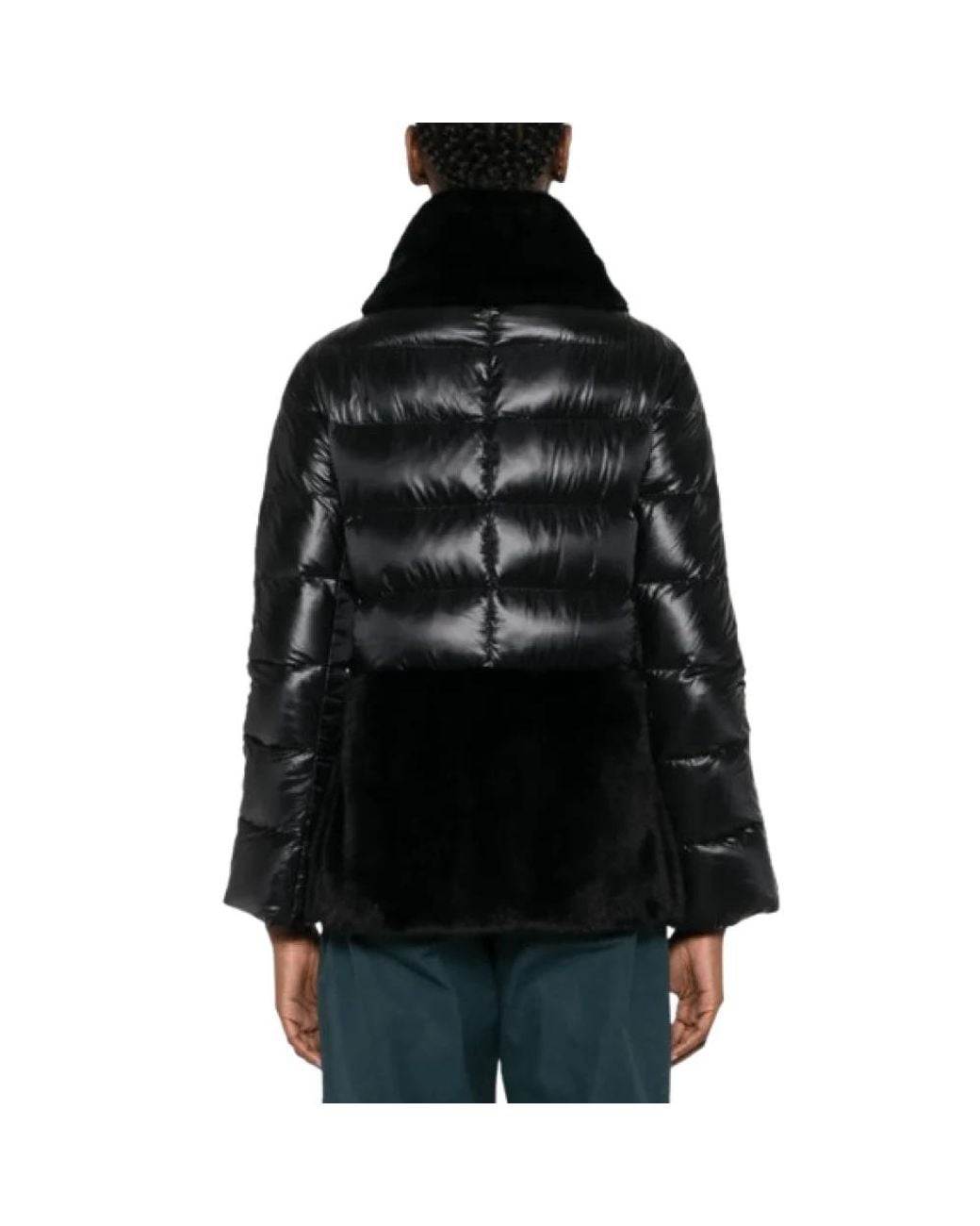 Winter Jackets Herno de color Black