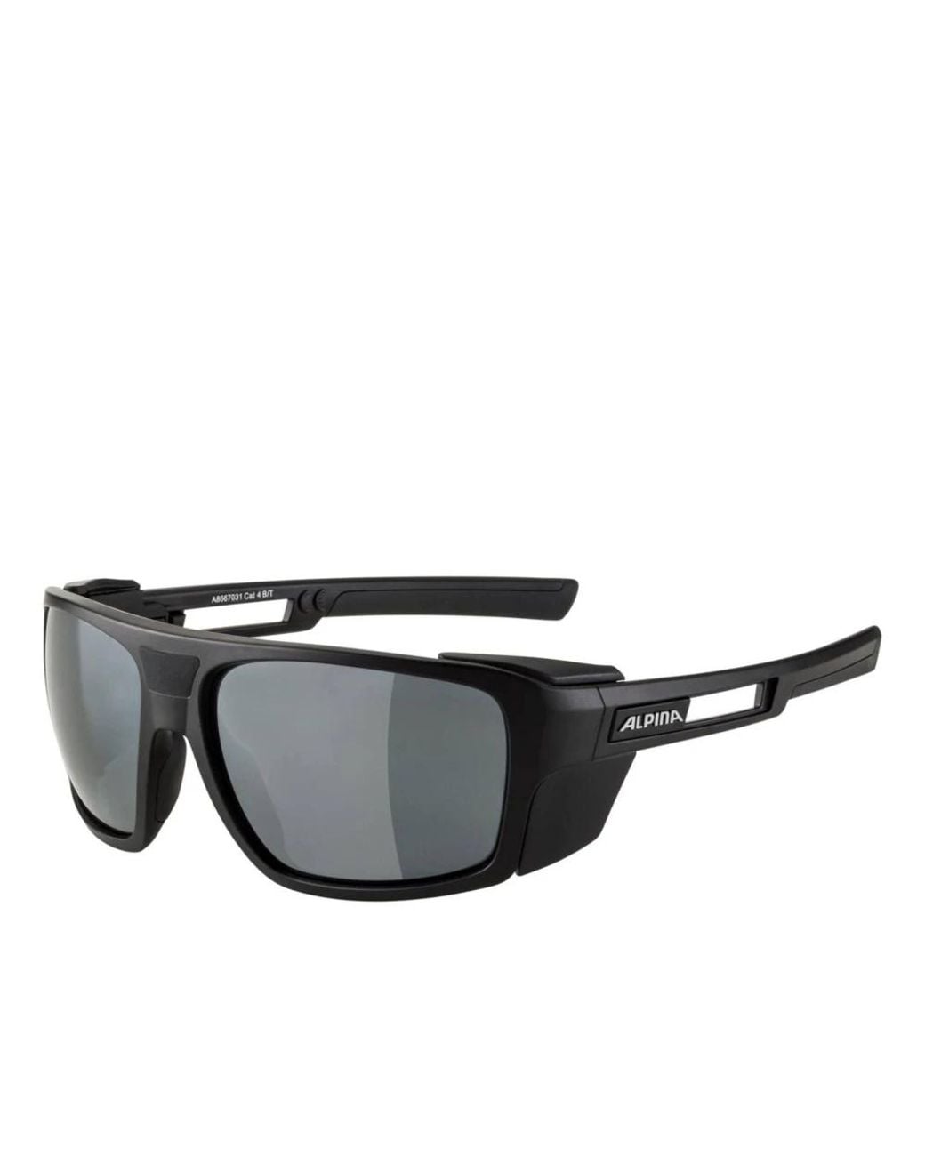 Alpina Black Sunglasses